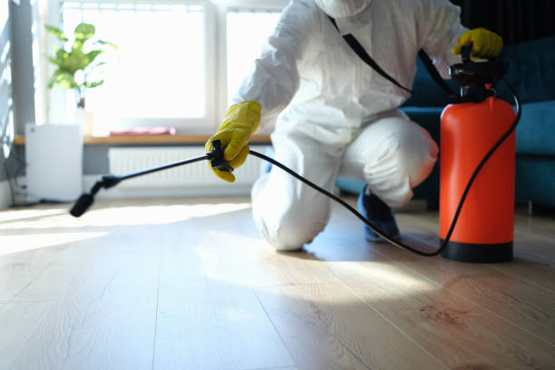 Reliable Odor Removal contractor in Morrisville, NC by Trauma Clean Pros
